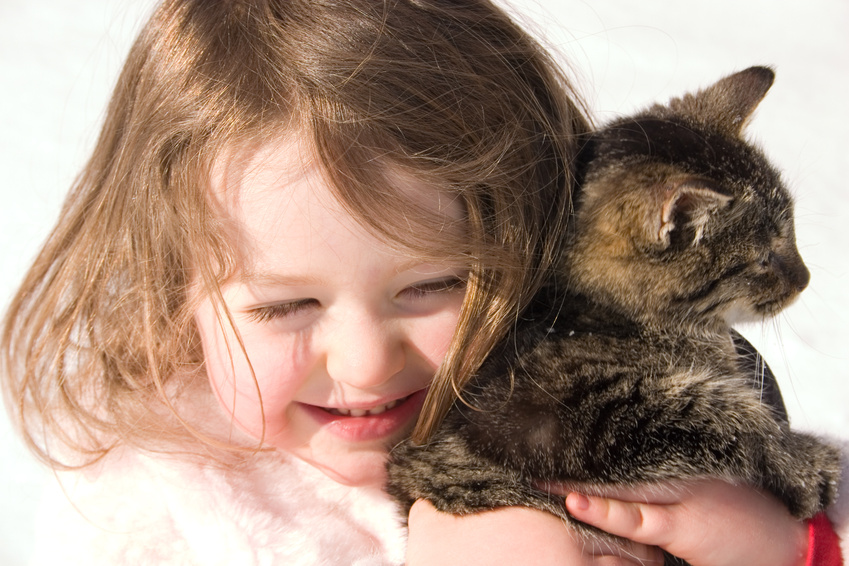 smiling girl holds a tabby cat